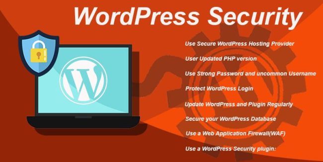 8 tips to Secure your WordPress Site