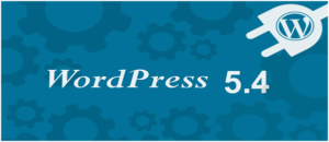 WordPress Web Developer