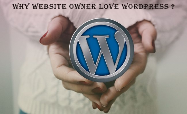 Why we love WordPress for website design and development