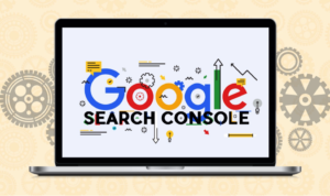 Google Search Home Console