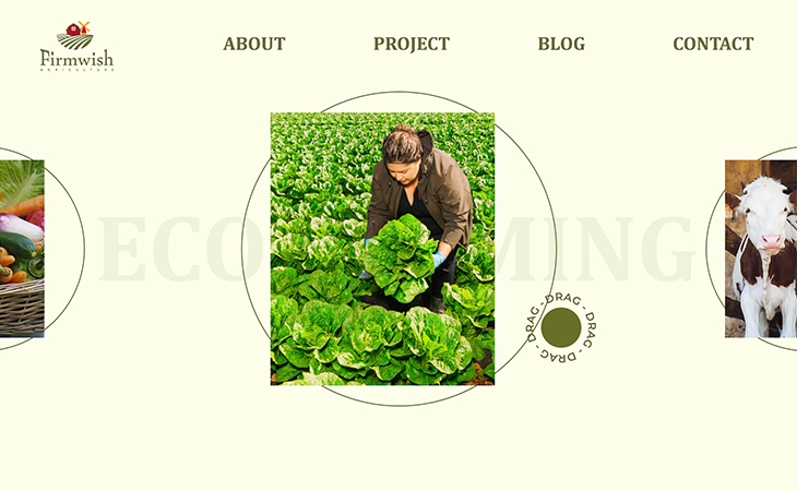 Green color psychology used in a website designed by Minerva Infotech