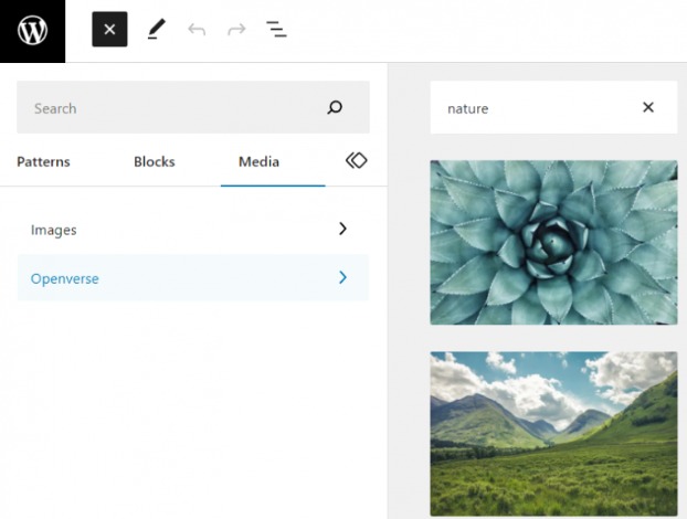 Improved plugin and theme management in WordPress latest update 6.2